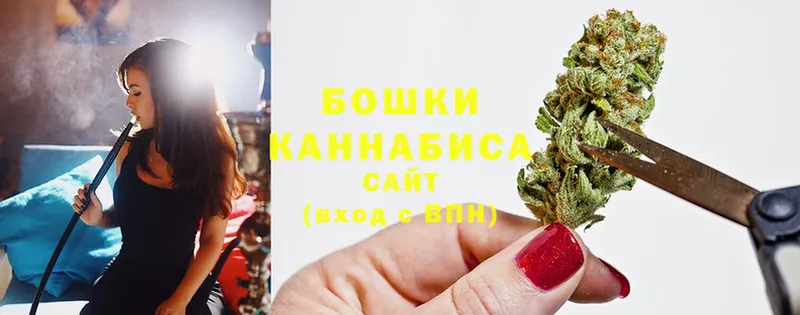 Шишки марихуана SATIVA & INDICA  kraken зеркало  Усть-Лабинск 